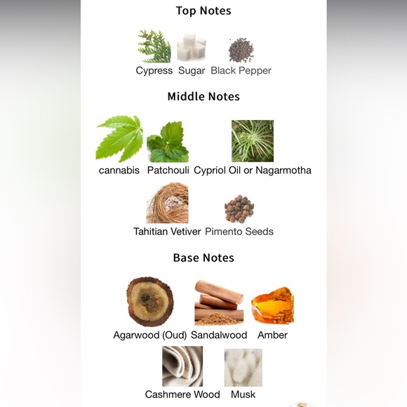 Narcotica Signature Narcotica - Picture 4 of 4